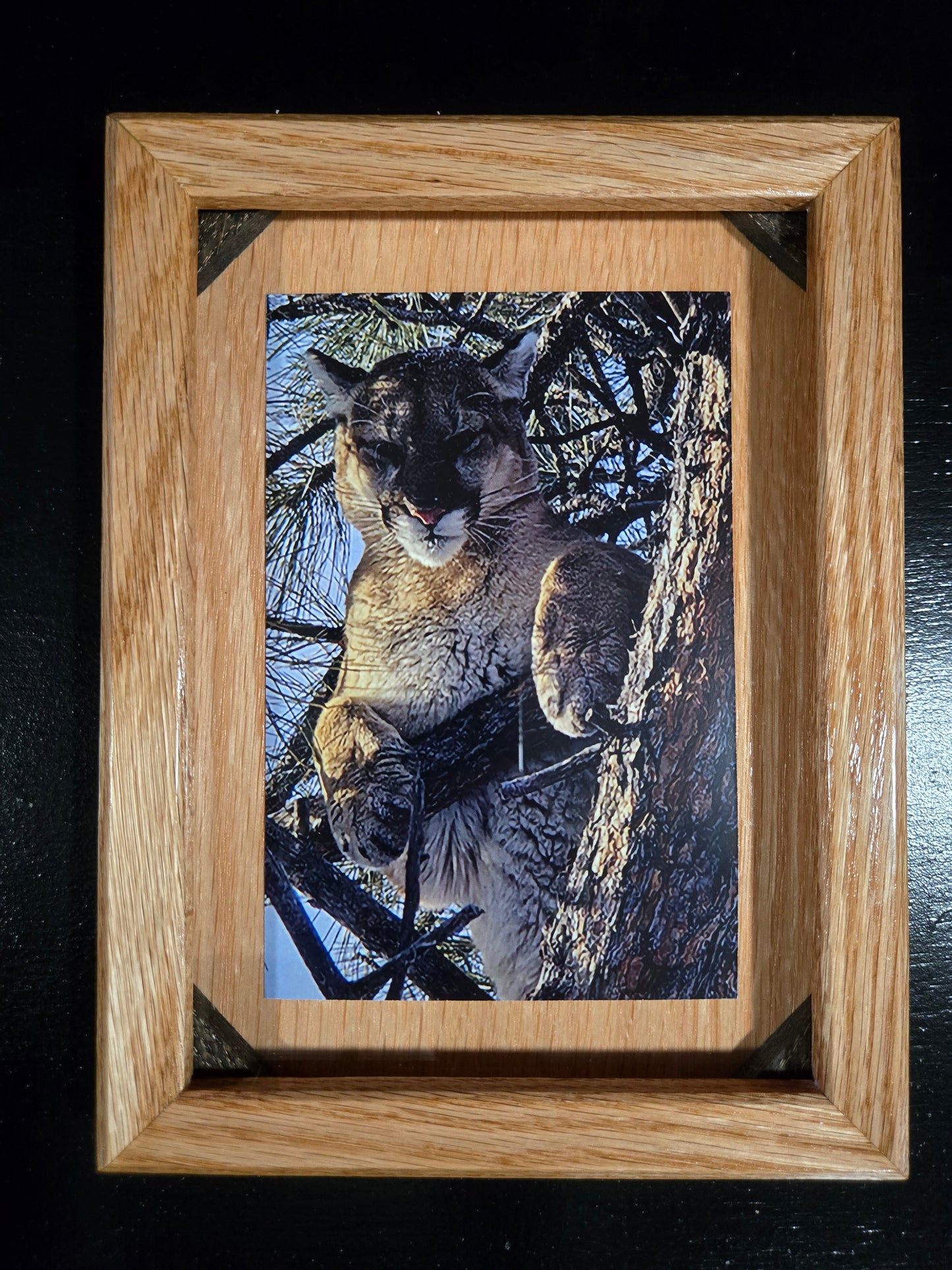 Minimalist Oak Picture Frames